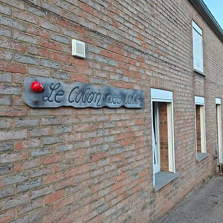 Le Cocon Des Lacs Boussu-lez-Walcourt エクステリア 写真